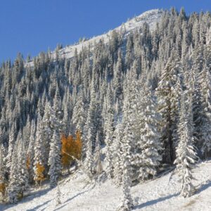 A Colorado mountain 